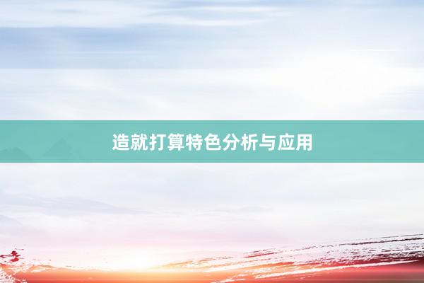 造就打算特色分析与应用