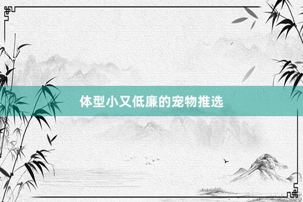 体型小又低廉的宠物推选