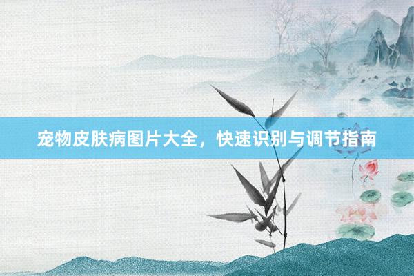 宠物皮肤病图片大全，快速识别与调节指南