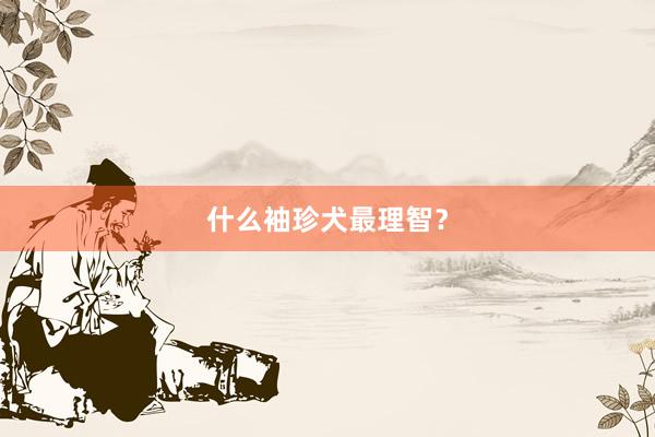 什么袖珍犬最理智？